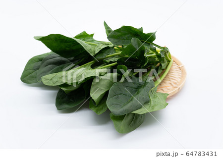 ほうれん草 64783431
