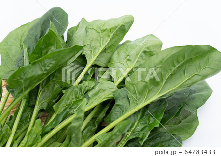 ほうれん草 64783433