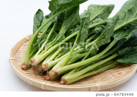 ほうれん草 ほうれん草 64783440