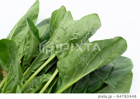 ほうれん草 ほうれん草 64783448