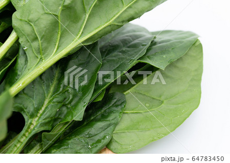 ほうれん草 ほうれん草 64783450