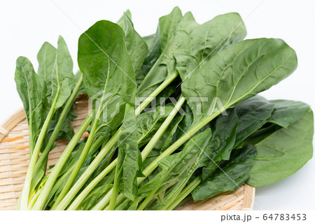 ほうれん草 64783453