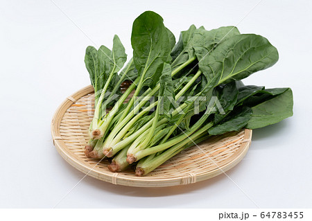 ほうれん草 64783455