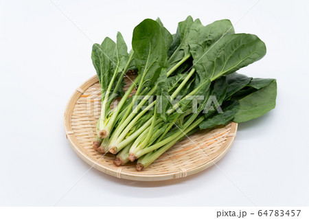 ほうれん草 ほうれん草 64783457