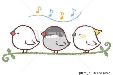歌う鳥たち 64783892
