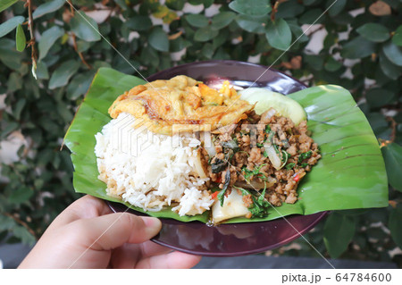 omelette, omelet and stir fried basil with pork omelette, omelet and stir fried basil with pork 64784600