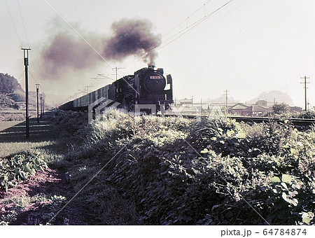 D51牽引貨物列車　昭和42年　常磐線　福島県　カラー写真 64784874