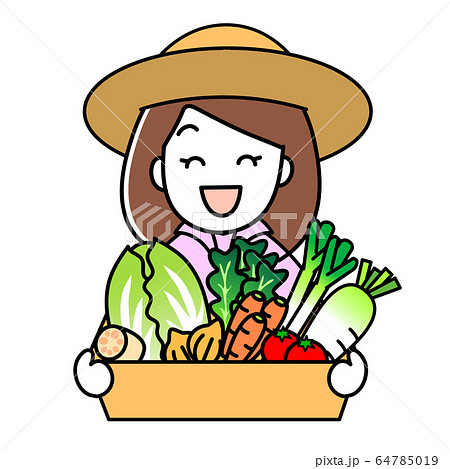 野菜の詰め合わせセットを持っている女性 64785019