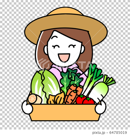 野菜の詰め合わせセットを持っている女性 64785019