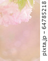 桜 桜 64785218