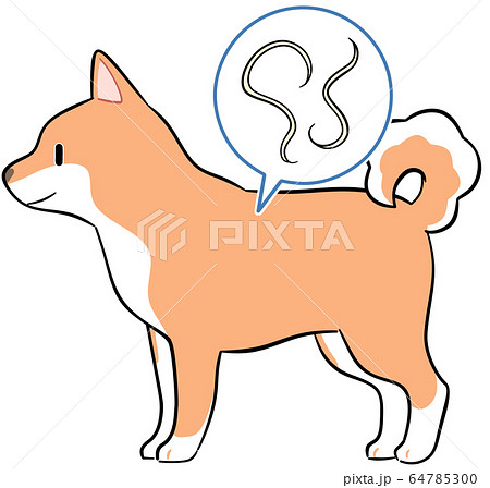 犬と寄生虫のイラスト素材