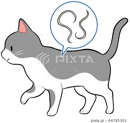 猫と寄生虫のイラスト素材