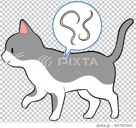 猫と寄生虫 64785301