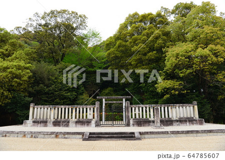 武烈天皇陵 64785607