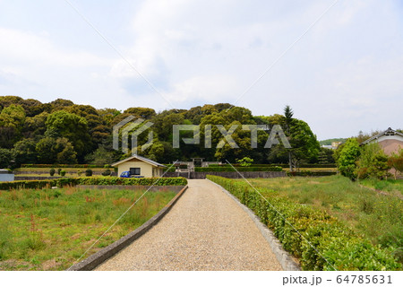 武烈天皇陵 64785631