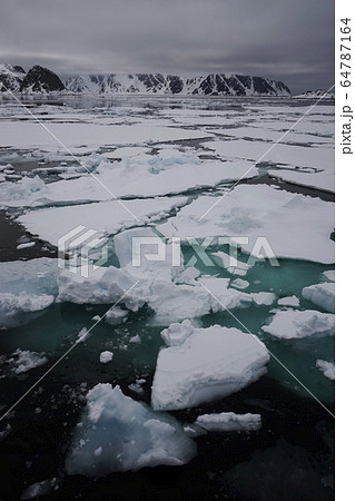 北極海の氷 北極海の氷 64787164