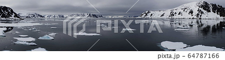 北極海の氷 64787166