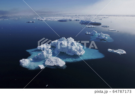 北極海の氷 64787173