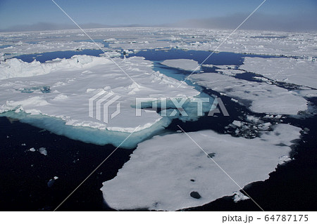 北極海の氷 64787175