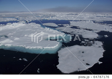 北極海の氷 北極海の氷 64787176