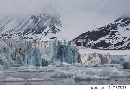 北極圏の氷河 64787353