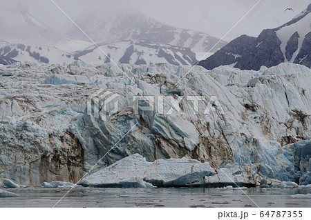 北極圏の氷河 64787355