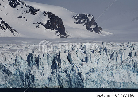 北極圏の氷河 64787366