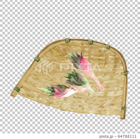 Watercolor Myoga Myoga Mushroom Monkey 64788111