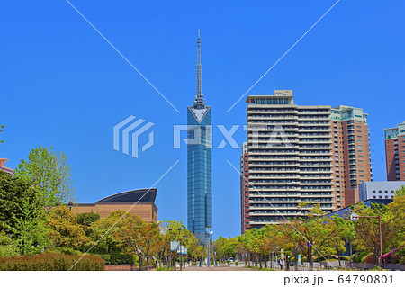 【福岡市】　福岡タワー 64790801