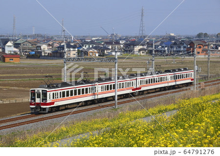 東武日光線6050系とナノハナ畑 東武日光線6050系とナノハナ畑 64791276