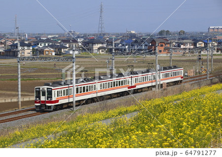 東武日光線6050系とナノハナ畑 東武日光線6050系とナノハナ畑 64791277