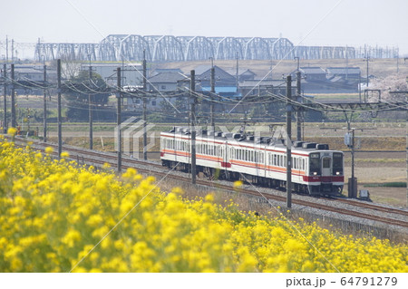 東武日光線6050系とナノハナ畑 64791279