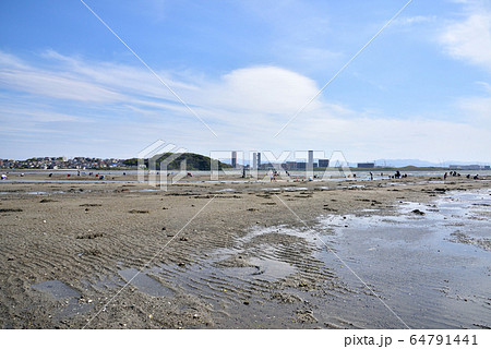 潮干狩り　福岡市東区塩浜海岸　博多湾　遠望はアイランドシティ 64791441
