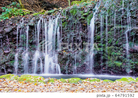 秋の箱根 千条ノ滝 落ち葉 秋の箱根 千条ノ滝 落ち葉 64791592