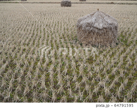 神奈川県の田園風景　冬の田圃と稲わら 64791595