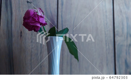 花瓶に入った萎れかけの1輪の薔薇① 花瓶に入った萎れかけの1輪の薔薇① 64792303