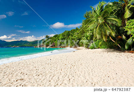 Beautiful Anse Soleil beach with palm tree at Beautiful Anse Soleil beach with palm tree at 64792387
