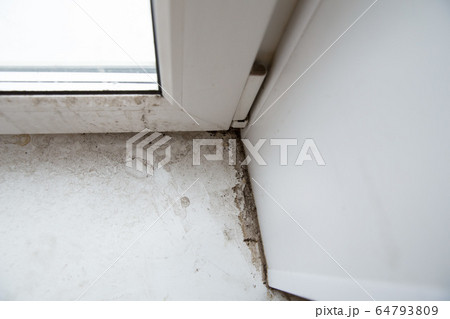 mold in the corner of the window mold in the corner of the window 64793809