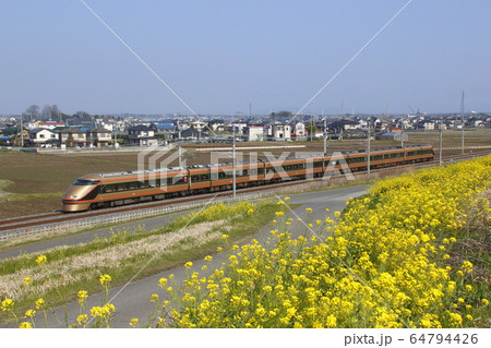 東武特急スペーシア（日光詣スペーシア編成） 64794426