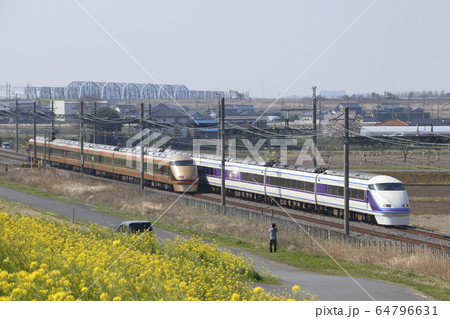 東武特急スペーシア並び(日光詣編成&雅編成) 東武特急スペーシア並び(日光詣編成&雅編成) 64796631