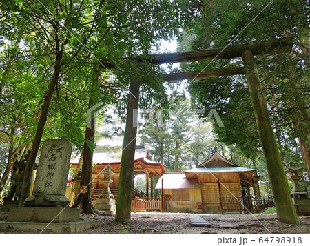 石城神社鳥居 64798918