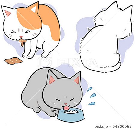腎臓病の症状 猫 のイラスト素材