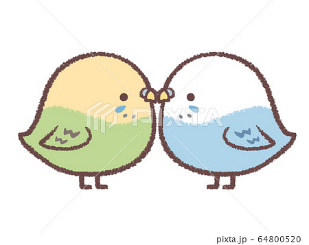 セキセイインコカップル 64800520