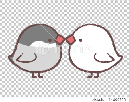 ブンチョウカップル 64800523