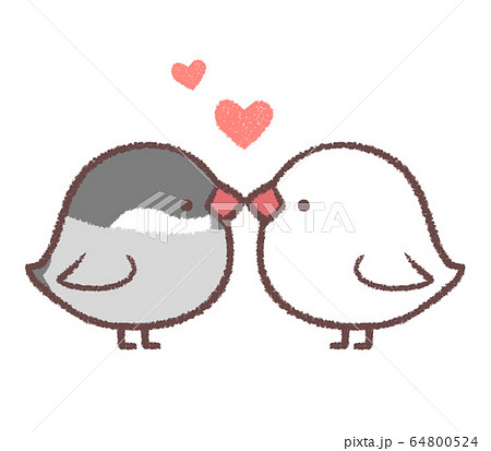 ブンチョウカップルハート 64800524