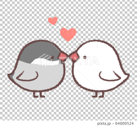 ブンチョウカップルハート 64800524