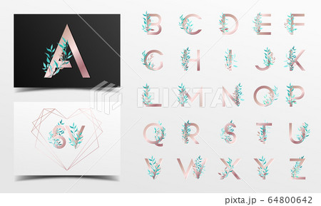 Beautiful alphabet letter collection with green leaf Beautiful alphabet letter collection with green leaf 64800642