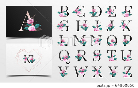 Alphabet letter collection Alphabet letter collection 64800650