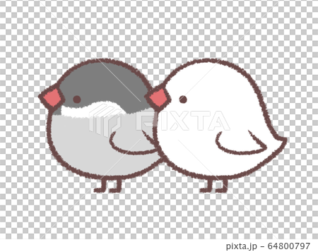 文喬夫婦側 64800797