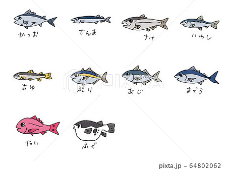 海の魚のイラスト素材